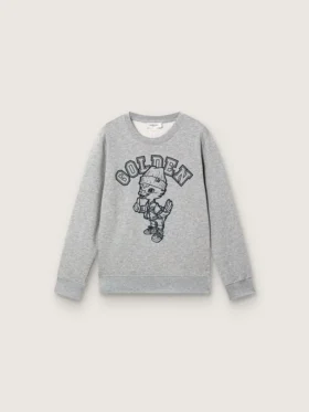 Felpa a girocollo Journey per bambino in cotone grigio melange con stampa mascotte