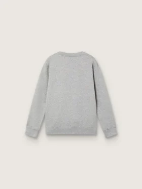 Felpa a girocollo Journey per bambino in cotone grigio melange con stampa mascotte