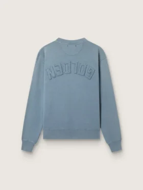 Felpa azzurro chiaro con logo rovesciato sul retro – Capsule in jersey