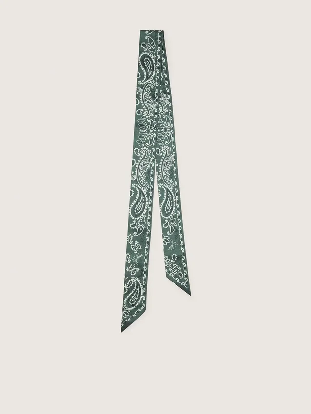 Set di due nastri in twill con motivo paisley verde