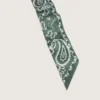 Set di due nastri in twill con motivo paisley verde