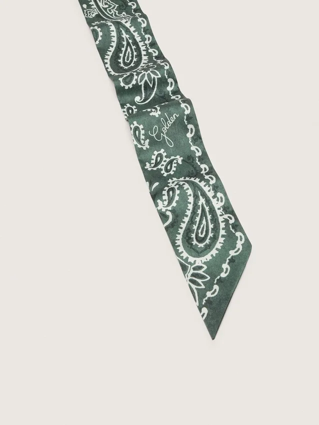 Set di due nastri in twill con motivo paisley verde